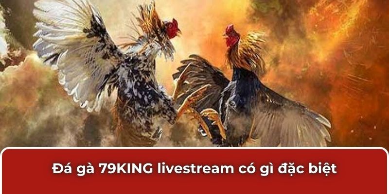 Đá gà 79KING livestream có gì đặc biệt