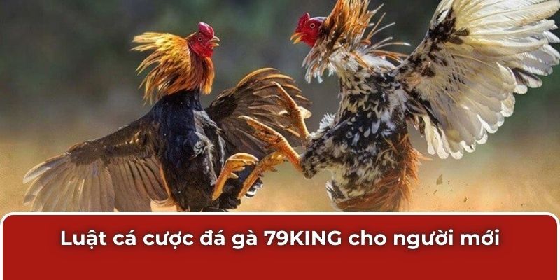 Luật cá cược đá gà 79KING cho người mới